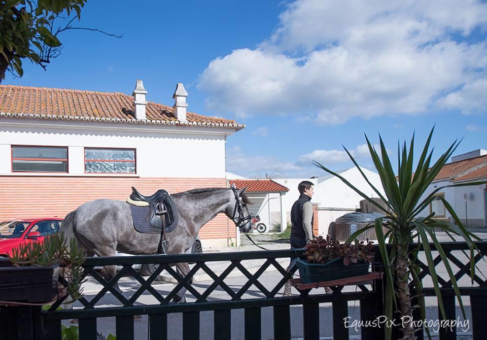 Inn Golegã Esterno foto